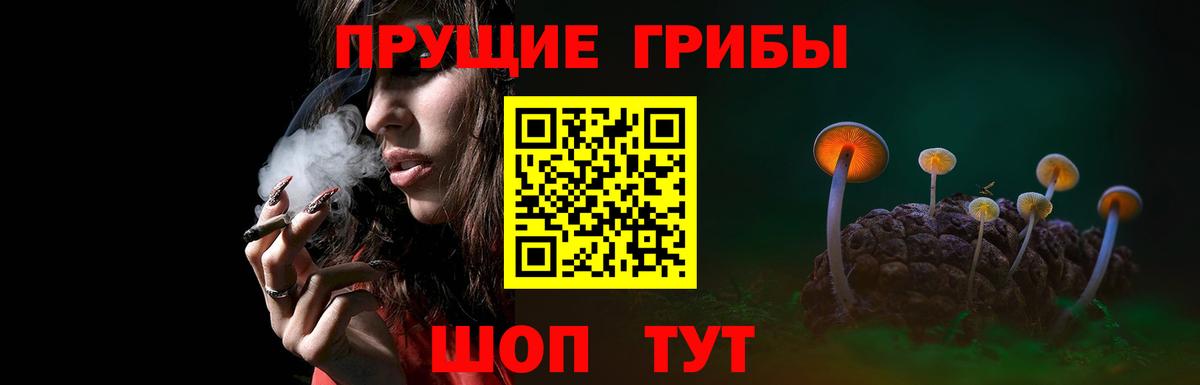 купить   Галлюциногенные грибы прущие грибы  Муром  Вход с VPN  Псилоцибиновые грибы прущие грибы 